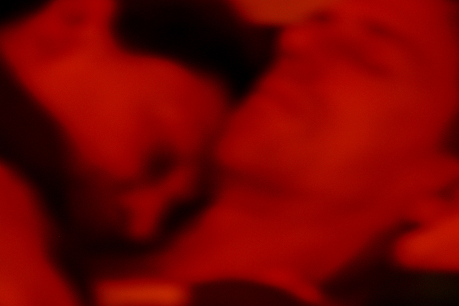 Luc+Carol | 2005